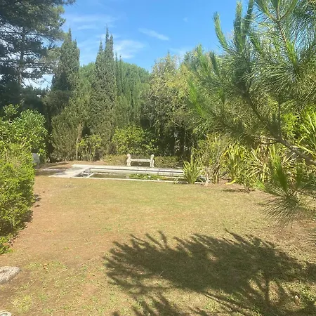 Villa D'exception A Avec Piscines Interieures Et Exterieures Palaja